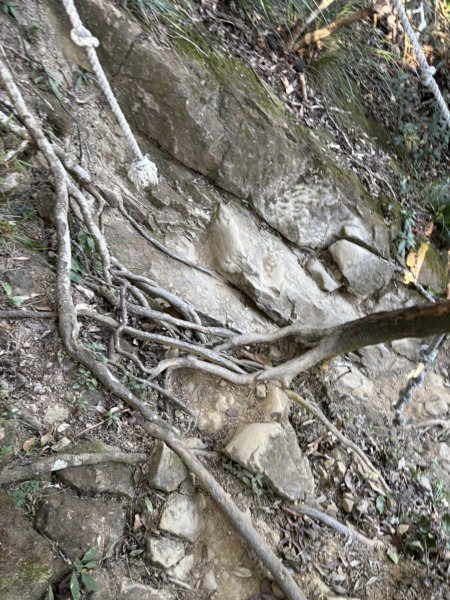 20251123台南－獵鷹尖一線天步道2944560