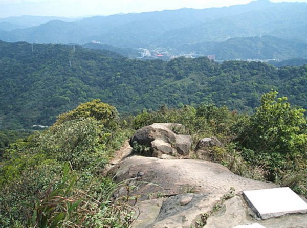 【台北市】樹梅古道