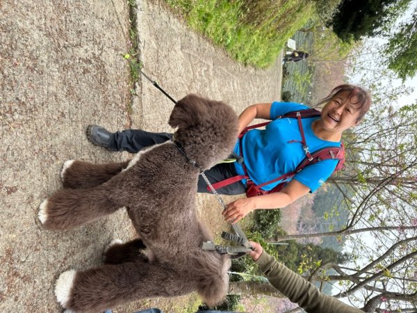 鵝公髻山（小百岳）鵝公髻山東北峰2449831