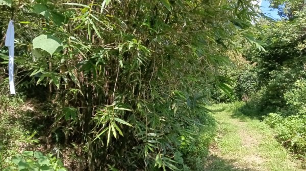 金山區大路崁古道-土地公步道-兩湖保甲路-水圳路3121311