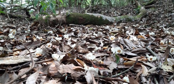 白姑大山之旅743414