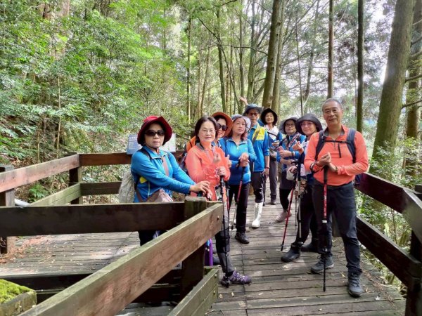 觀霧-檜山巨木群步道2925545