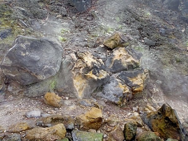 【臺灣百大必訪步道】七星主、東峰登山步道1186758