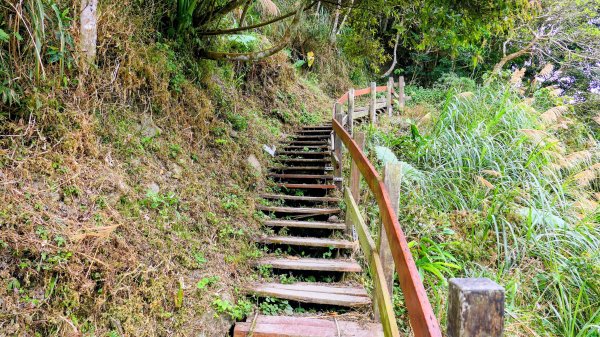 梅嶺竹子尖山2987430