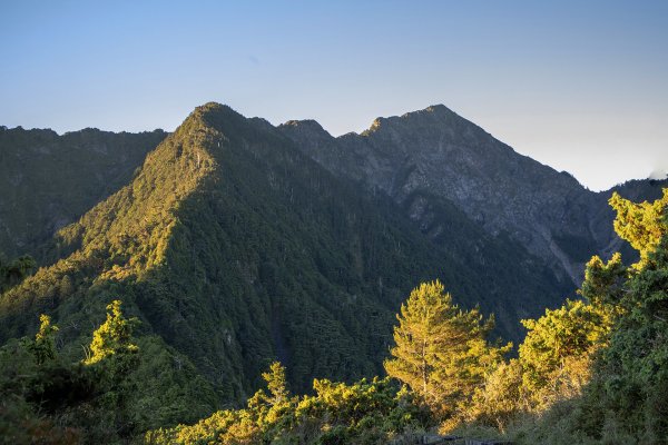 南一段大關山盡覽2541963