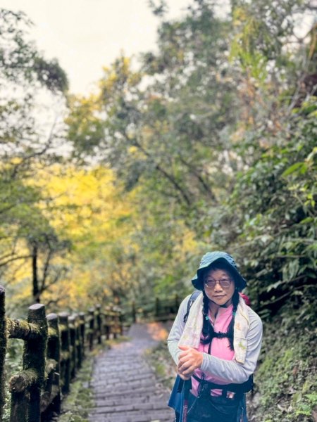 二格山走南邦寮山經草湳福德宮回二格公園3005529