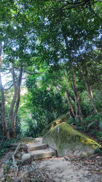 西湖捷運站-金面山-大崙頭山-圓覺-大湖公園捷運站2588690