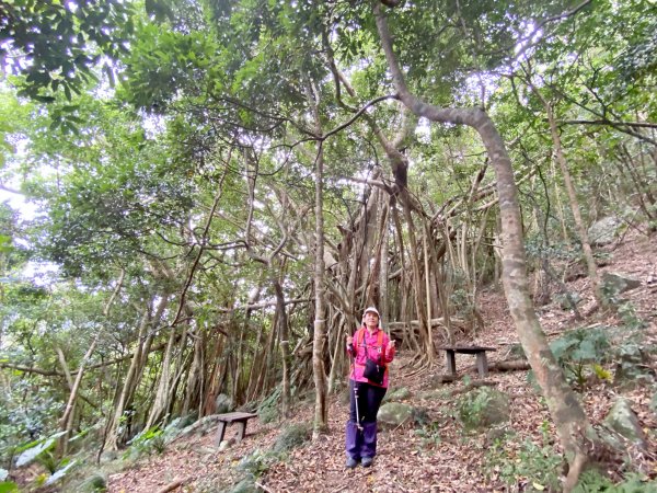 屏東牡丹高士神社、高士山、石門山步道輕鬆走    2021/11/281532910