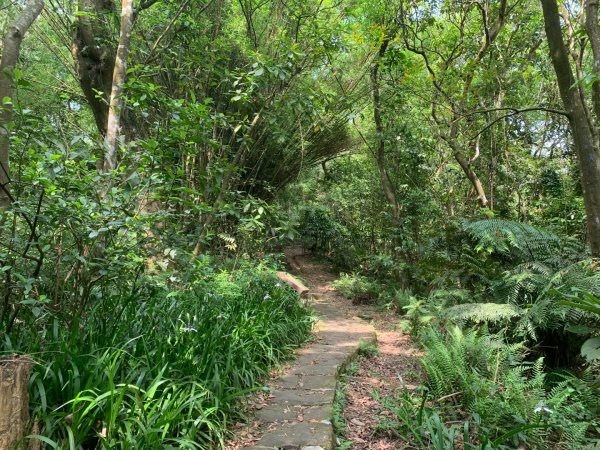 大崙頭尾山親山步道2767180