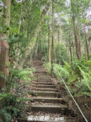 【台中和平】橫嶺山自然步道_木馬古道3095018
