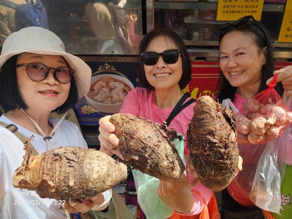 白沙屯山(飯店山).通宵虎頭山＆神社.塗崁頂山.新埔福德山3017969