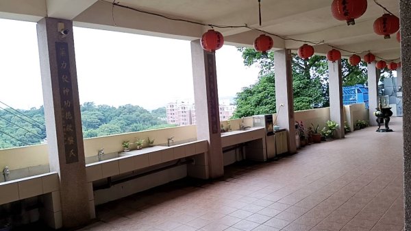 20250607 新竹竹東三山(樹杞林山 - 新具庄山 - 員崠子山)  O型2809084