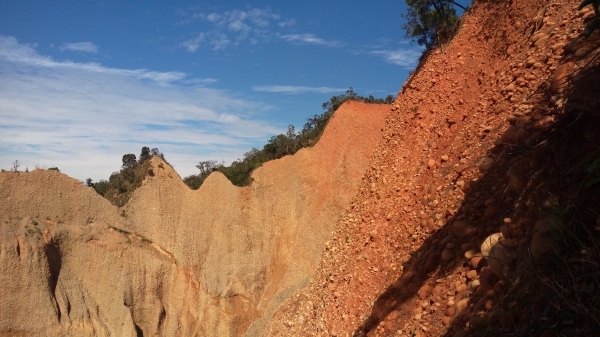 將來爬不動1051125火炎山自然保留區95903