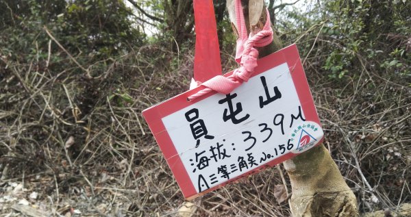 20210326_員屯山1321610