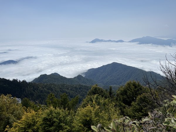 【奇萊東稜D2】磐石山、太魯閣大山與極品中級山2105017