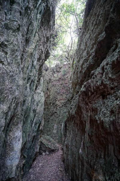 【霧霾】【柴山龍谷步道】2711774