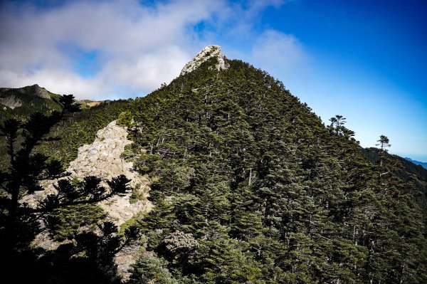 帝王之座-南湖東峰線｜南湖東峰＋陶塞峰＋馬比杉山2884904