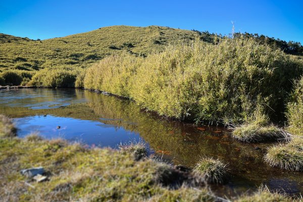 大小劍-油婆蘭全紀錄2674293