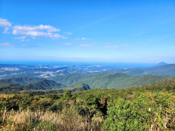 小百岳集起來-姜子寮山2181034