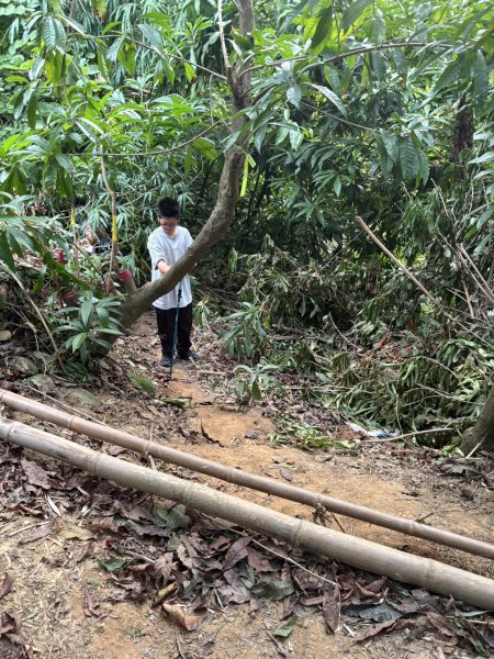 20251024蘭潭後山步道、紅毛埤山、山子頂山2924071