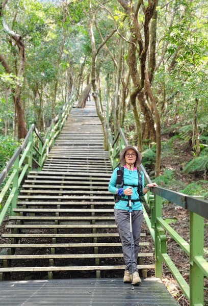 大崙頭尾山2990349