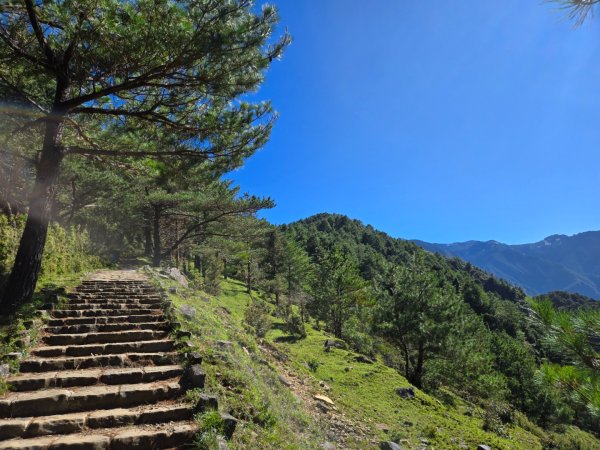 麟趾山、鹿林山、鹿林前山三山縱走2630028