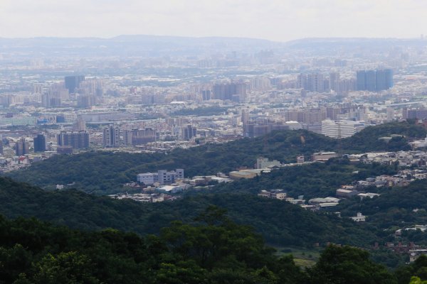 樹林➡️鶯歌➡️桃園（福源山、銘傳大學）1020133