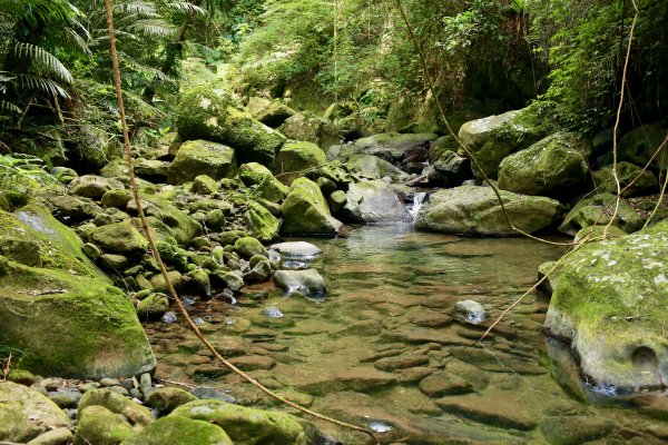 南坪古道：油羅溪上游814432