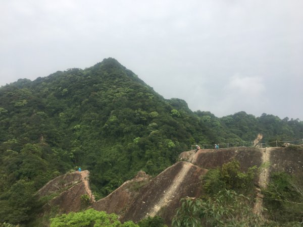 賞花去（五寮尖山、峭壁雄峰、獨立峰2476745