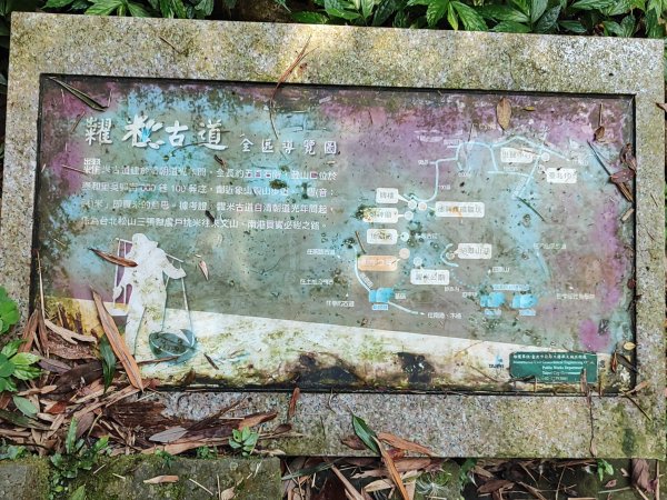 臺北大縱走第六段3025103