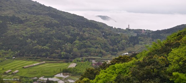 陽明山追雲趣 #天空之城 #石門嵩山梯田 #鳶尾花 #老梅綠石槽 4/5-63030197
