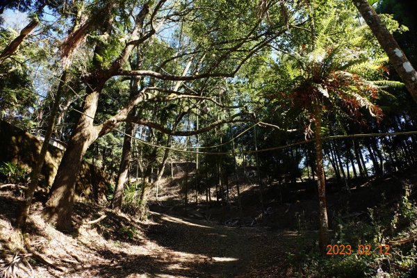 嘉義 竹崎 大坑山2032207