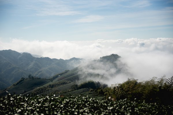 雲嘉七連峰 2025年12月2968920