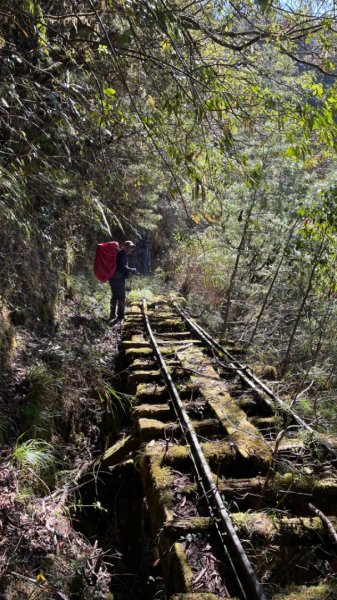 前進嵐山森林鐵道之好山好水好難走的嵐山工作站2427635