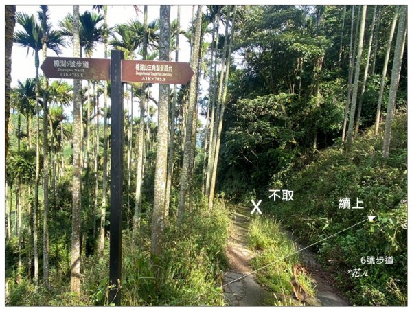 樟湖山 右上左下 (雲林、古坑)2846309