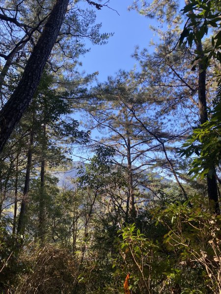 馬崙山11202103059280