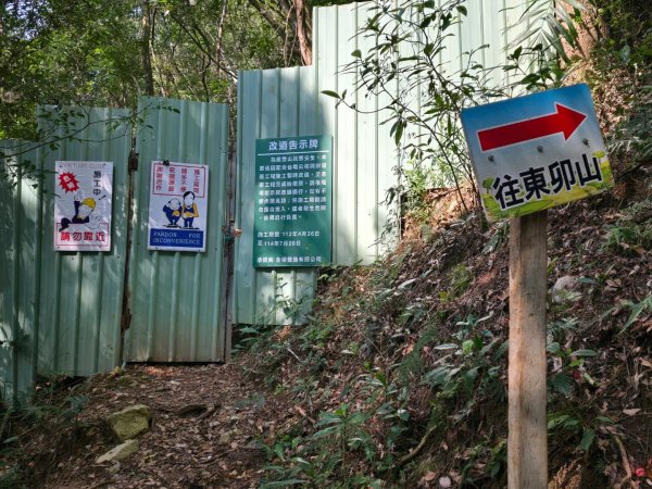 東卯山／東卯山西峰+賞山櫻花2715984