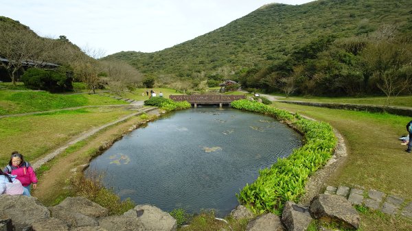 20260125 陽明山前後山健行(無極天元宮~山仔頂步道.向天池.向天山.面天山.二子坪)2998053