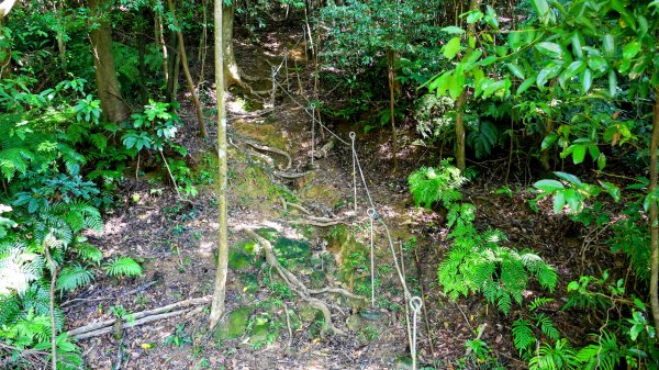 柯子林保甲路,如意湖,五指山古道2848887