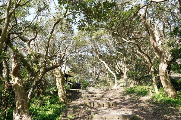 新北 八里 觀音山、牛港稜山2681370