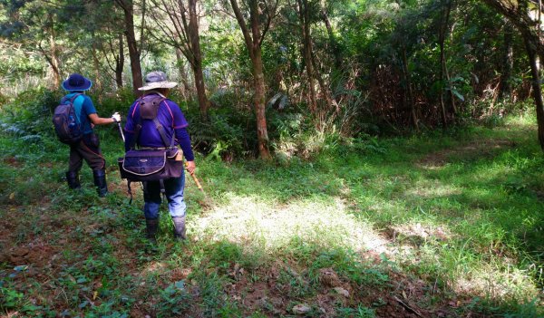 鵲子山小百岳（山神土地公—清修宮）O走1068260