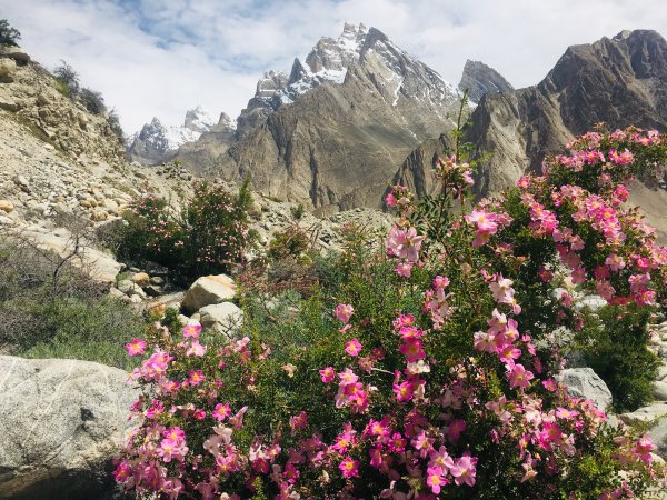 喀喇昆侖山K2基地營健行647819