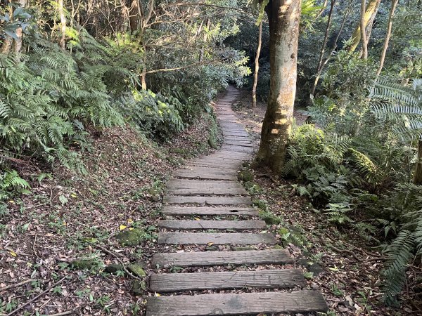 [山頂鳥40周年會員大縱走-08/15] 2024_0715 銀河洞越嶺登山步道2556762