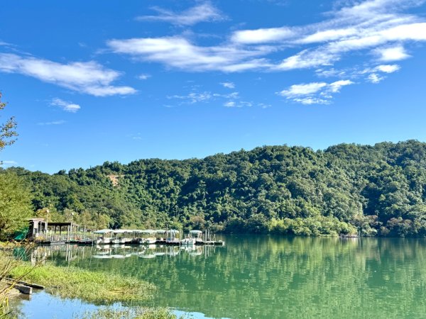 生態環境豐富的仁山植物園 感受鑑湖秋月-梅花湖的魅力2953867