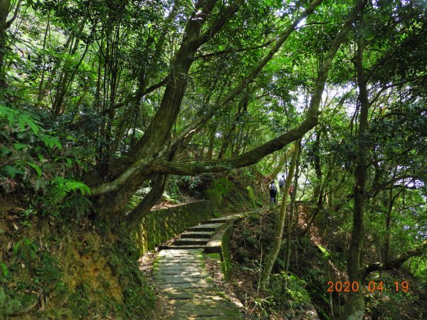 臺北 內湖 龍船岩、開眼山924796