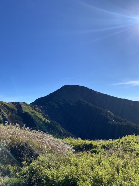 合歡山東峰3065458