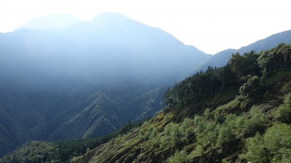雙龍林道上巒安堂西巒大山1778991