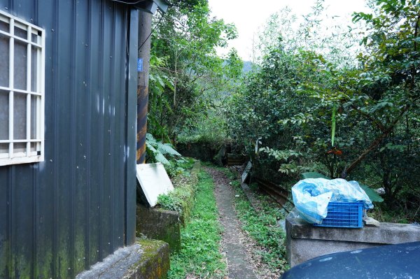 新北 烏來 大刀山、拉樸山、阿玉溪山2704939