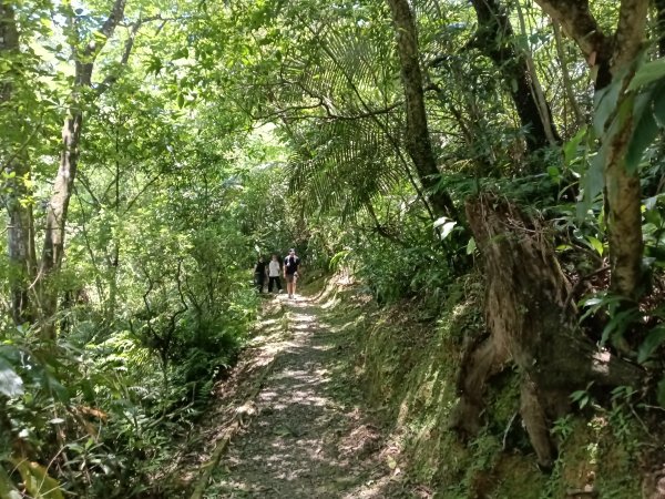 平溪區嶺腳步道+望古坑保甲路+嶺腳寮山+望古賞瀑步道(瀑布)+望古坑古道2825918
