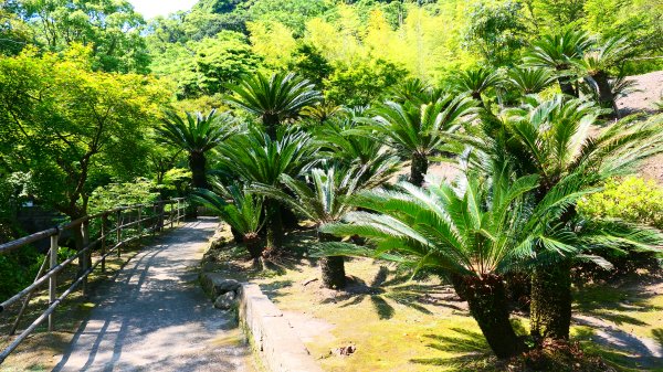 南九州－仙巖園,城山公園3063228